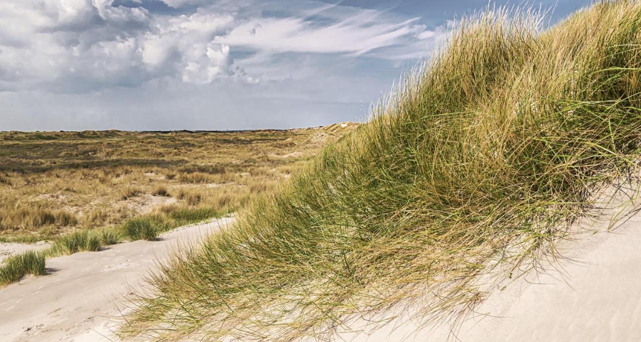 Appartement Kwaak Zandvoort Esterno foto